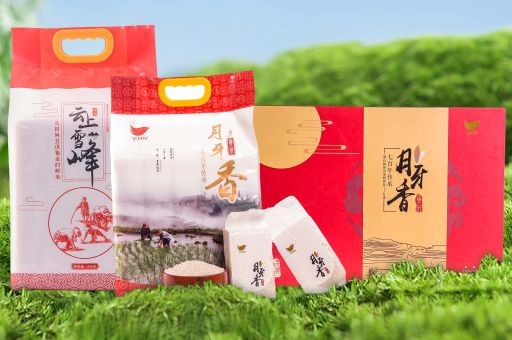 信阳 山苦瓜茶ODM